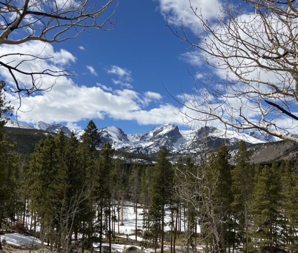 Snow covered mountains and evergreen trees under a blue sky with some clouds